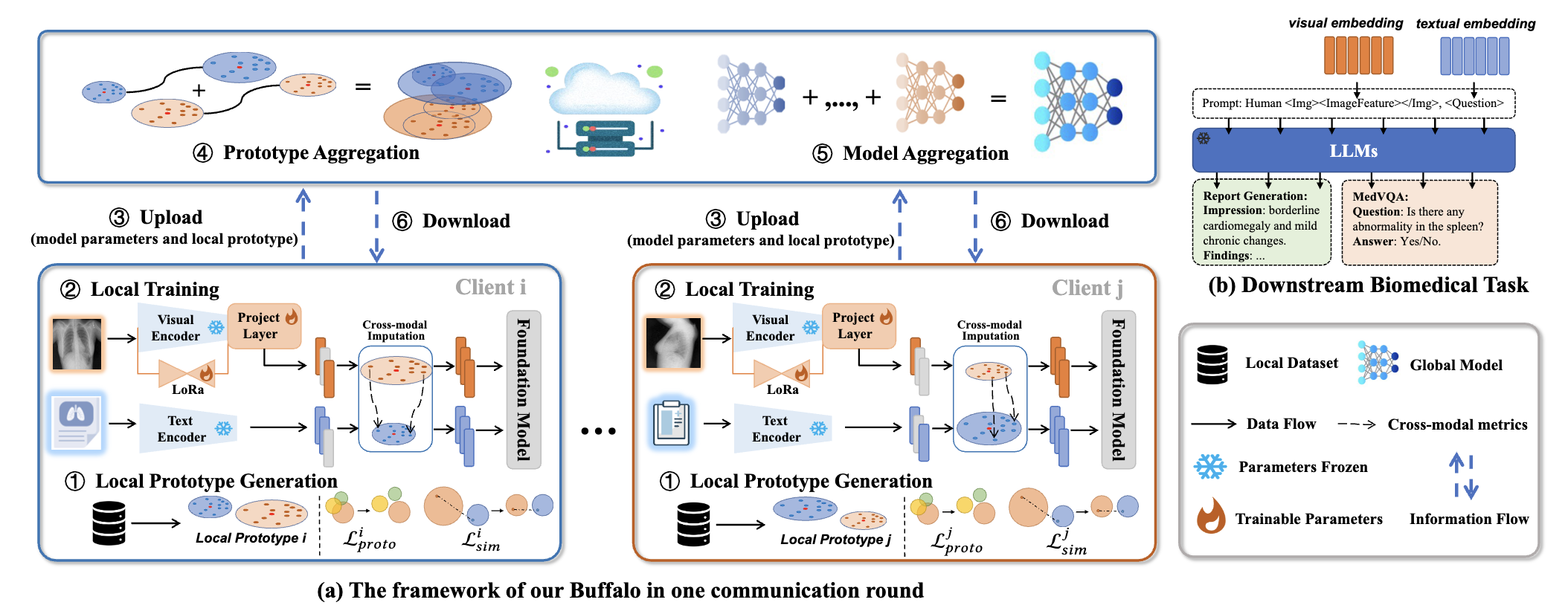 Buffalo: Biomedical Vision-Language Understanding with Cross-Modal Prototype and Federated Foundation Model Collaboration